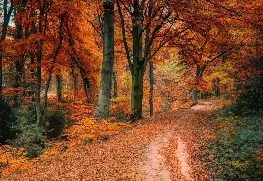 eigenen Weg gehen  | Kraft schöpfen | Selbstwert stärken